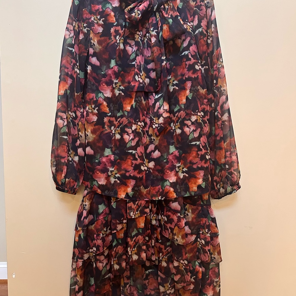 Misa Los Angeles Multicolor Floral Blouse and Skirt Set